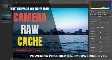 Deleting Adobe Camera Raw Cache: What You Need to Know