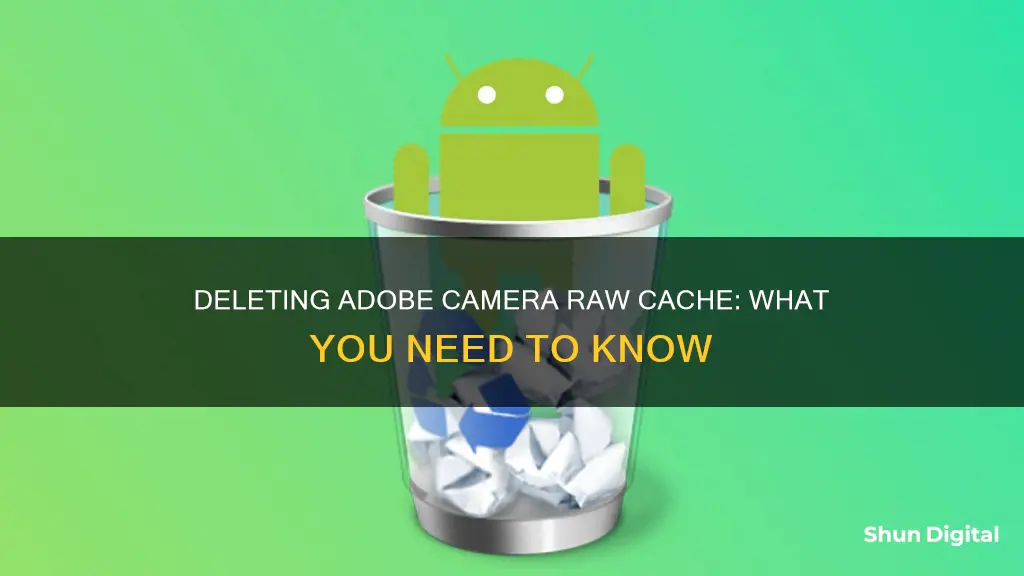 what happens if you delete adobe camera raw cache