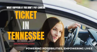 Tennessee Camera Tickets: What Happens if You Don't Pay?