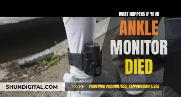 Ankle Monitor Malfunction: What's the Worst That Could Happen?