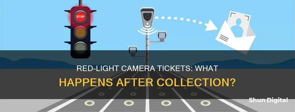 what happens to redlight camera ticket after collections