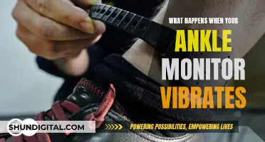 Ankle Monitor Vibrations: What They Mean and Why