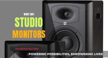 The Ultimate Studio Monitors for Audiophiles