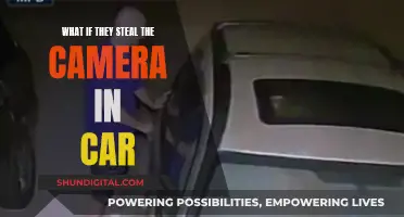 Car Camera Theft: What to Do?