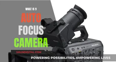 Autofocus Revolution: 9 Cameras with Precision Focus Technology