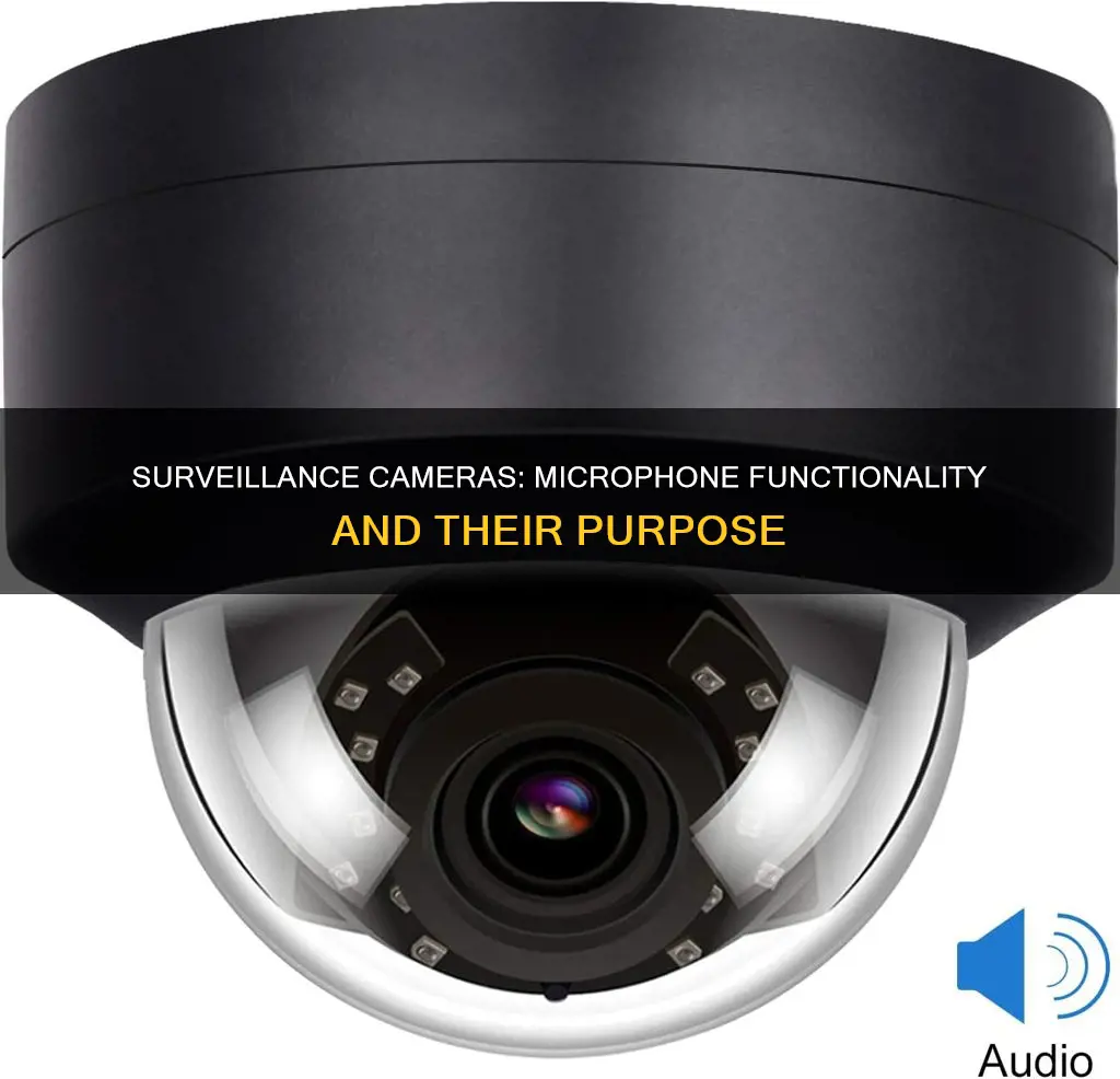 what is a built in microphone on surveillance camera for