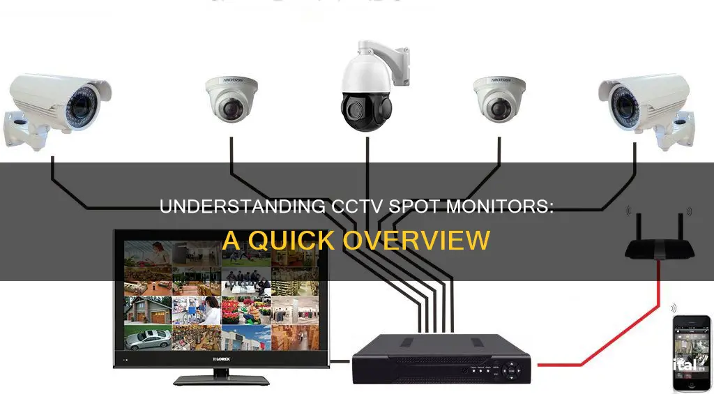 what is a cctv spot monitor