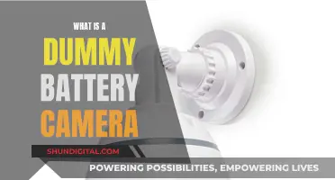 Dummy Battery Camera: What's the Deal?