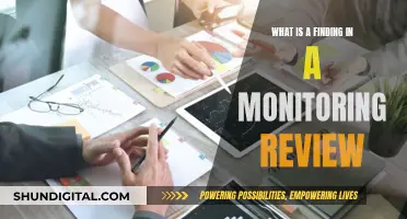 Monitoring Reviews: Findings and Their Importance