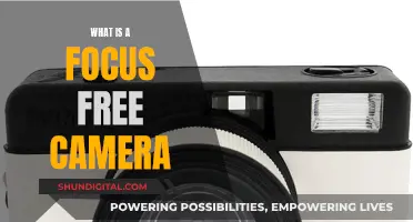 Focus-Free Cameras: Easy, Sharp, and Creative Photography