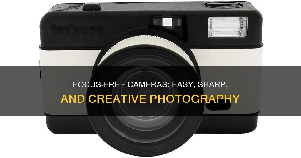 what is a focus free camera