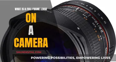 Understanding Camera Full-Frame Lenses: Pros, Cons, and More