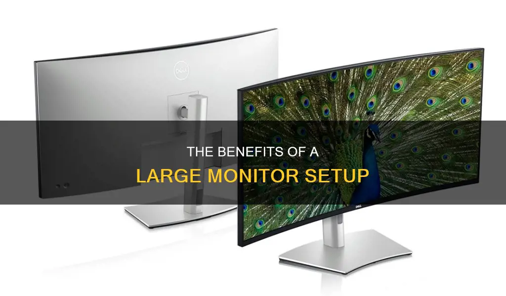 what is a large monitor size