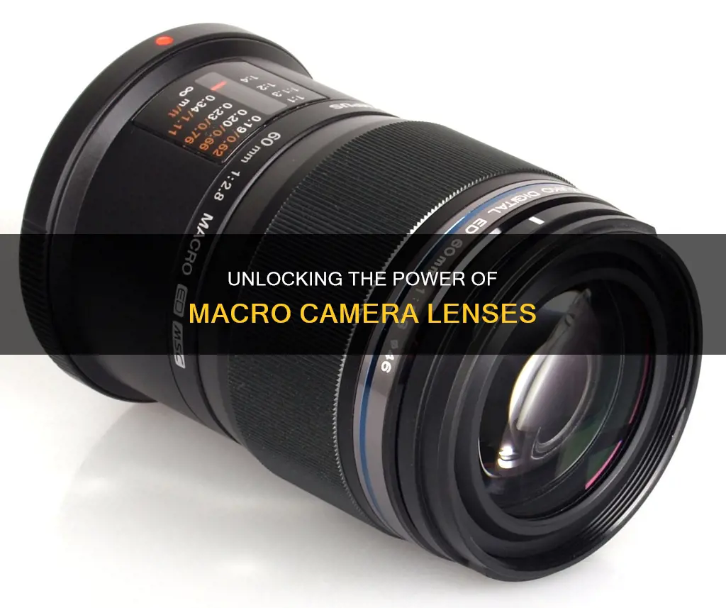 what is a macro camera lense