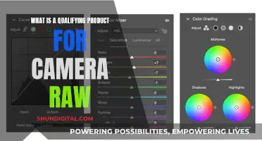 Understanding Camera Raw: Qualifying Products and Their Benefits