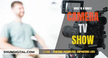 The Single Camera Show: How It's Different