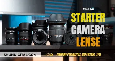 Choosing Your First Camera Lens: Where to Start?