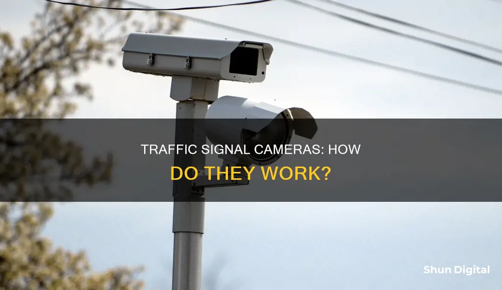 what is a traffic signal camera