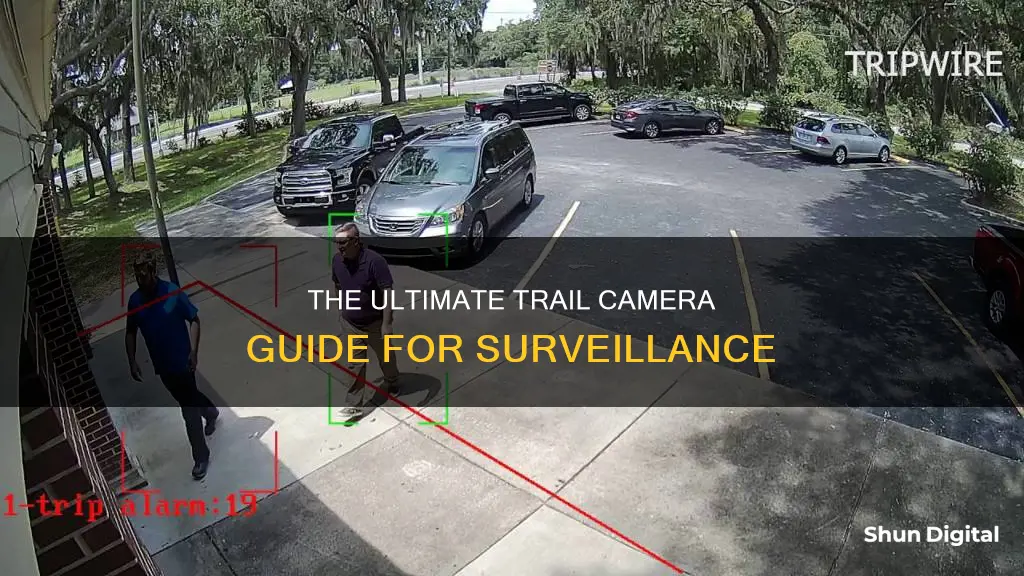 what is a trip camera for surveil