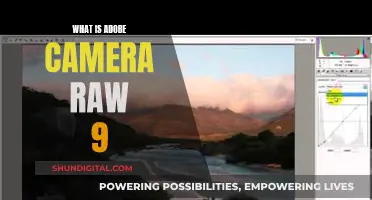 Unlocking Adobe Camera Raw 9: Unveiling the Power