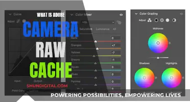 Understanding Camera Raw Cache in Adobe Software