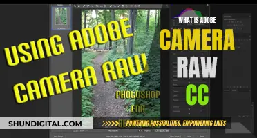 Unlocking Adobe Camera Raw CC's Power