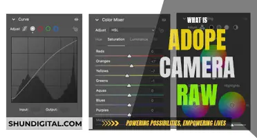 Unlocking Adobe Camera Raw's Power for Photographers