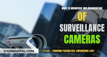 Surveillance Cameras: Benefits and Drawbacks