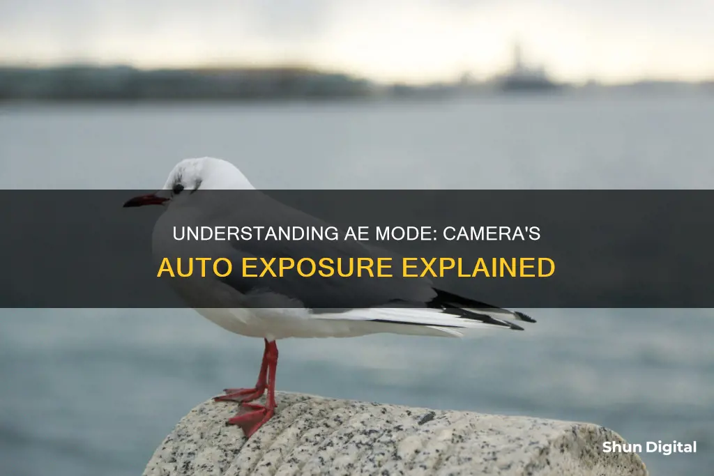 what is ae mode in camera