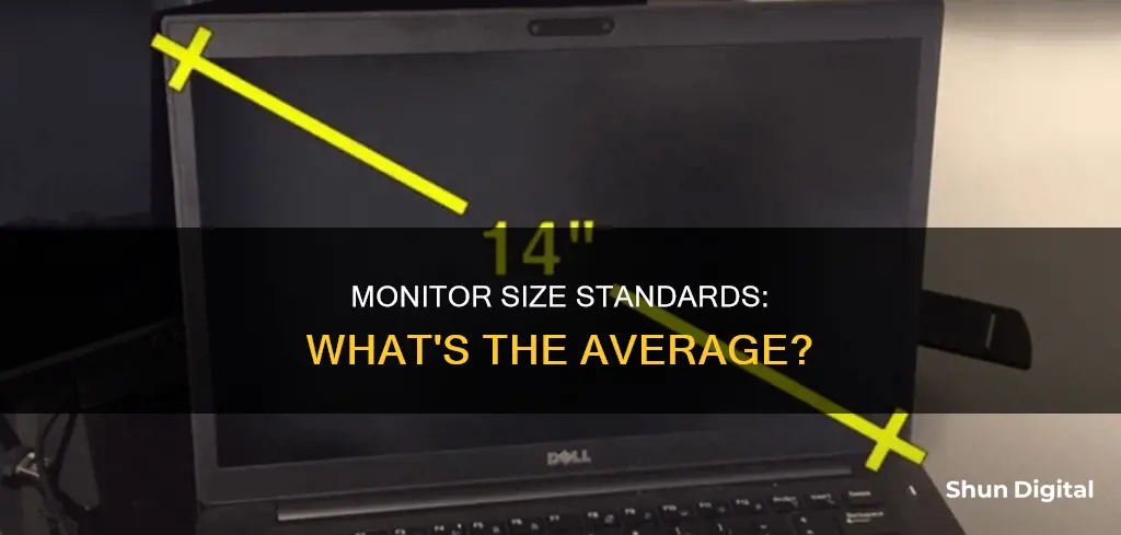 what is an average sized monitor