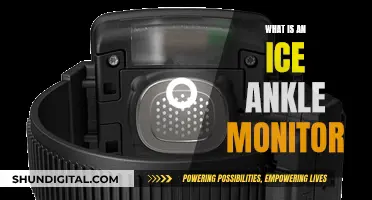 Ankle Monitors: Ice-Cold Surveillance for Criminals