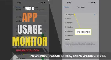 App Usage Monitor: What's the Deal?