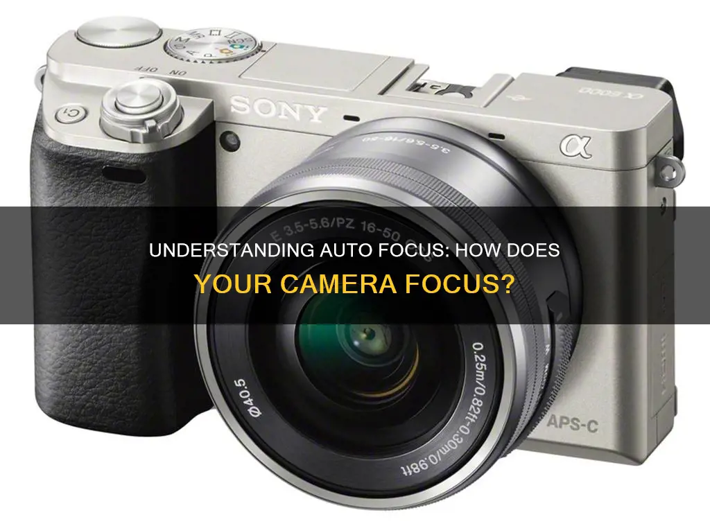 what is auto focus on a camera