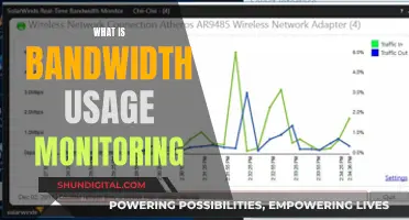 Understanding Bandwidth Usage Monitoring: What, Why, and How?