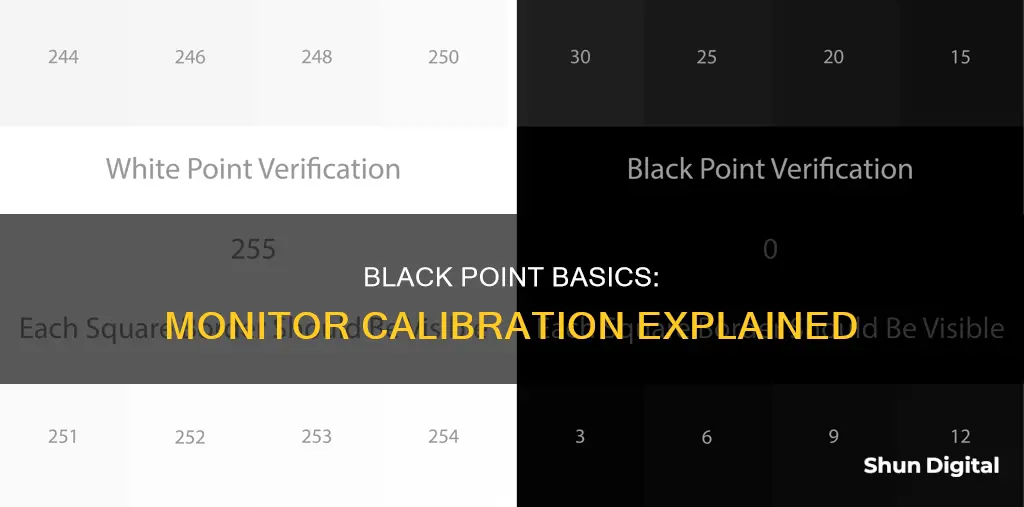 what is black point on monitor calibration