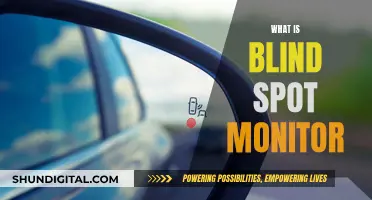 Blind Spot Monitor: How It Works and Why You Need It