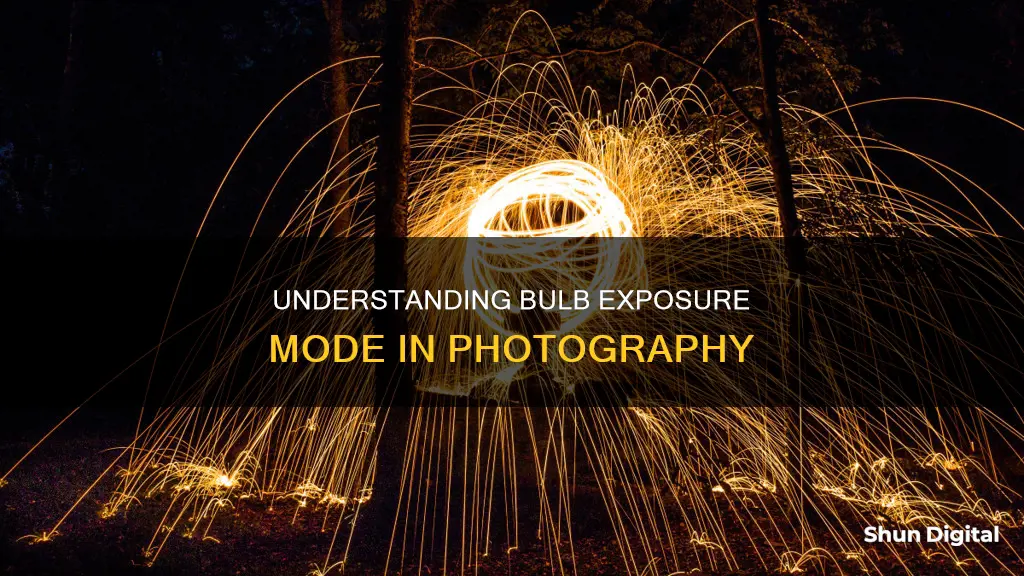 what is bulb exposure mode on a camera