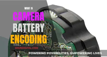 Understanding Camera Battery Encoding