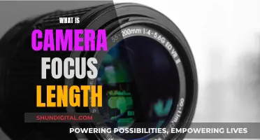 Understanding Camera Focus Lengths: Capturing the Perfect Shot