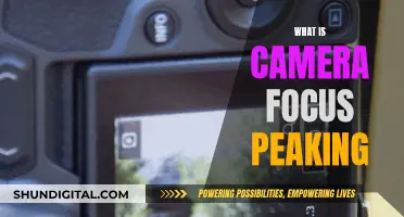 Mastering Focus Peaking: A Photographer's Guide to Sharpness