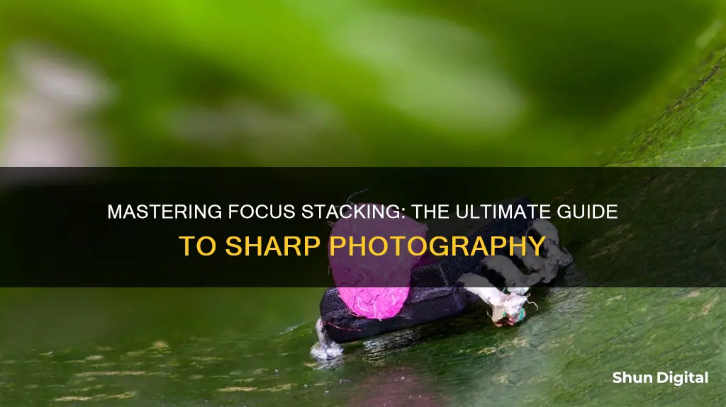 what is camera focus stacking