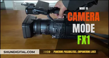 Understanding Camera Mode FX1: The Basics