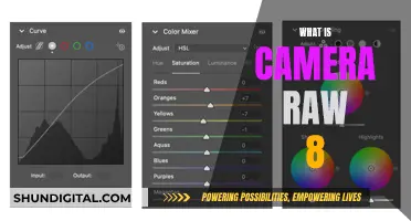 Understanding Camera Raw 8: Unlocking Photography's Potential