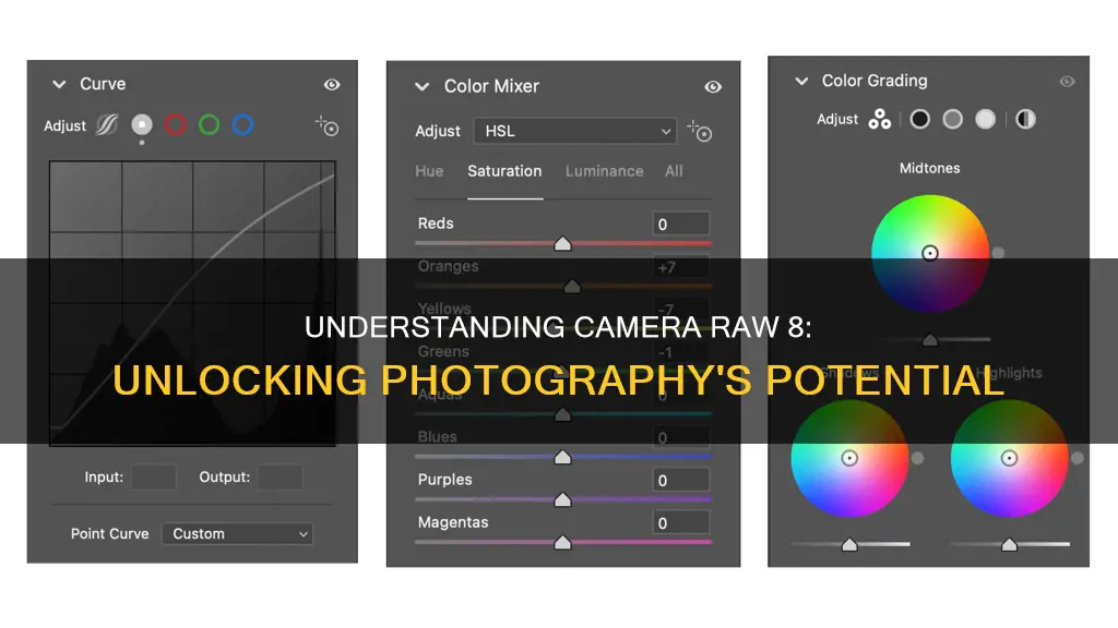 what is camera raw 8