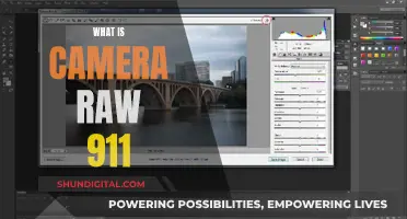 Understanding Camera Raw 911: Unlocking Creative Control