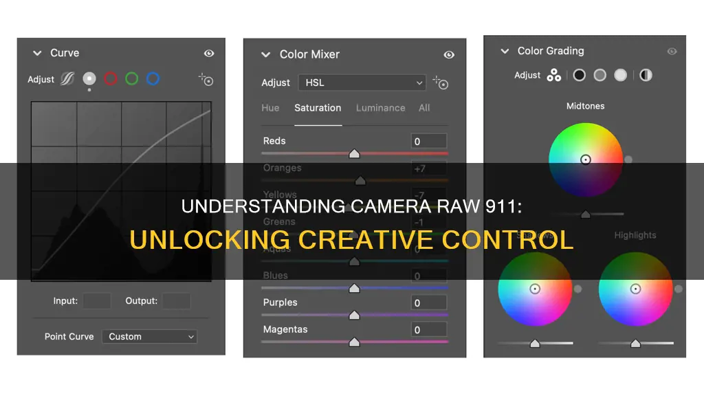 what is camera raw 911