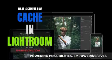 Understanding Camera Raw Cache in Lightroom