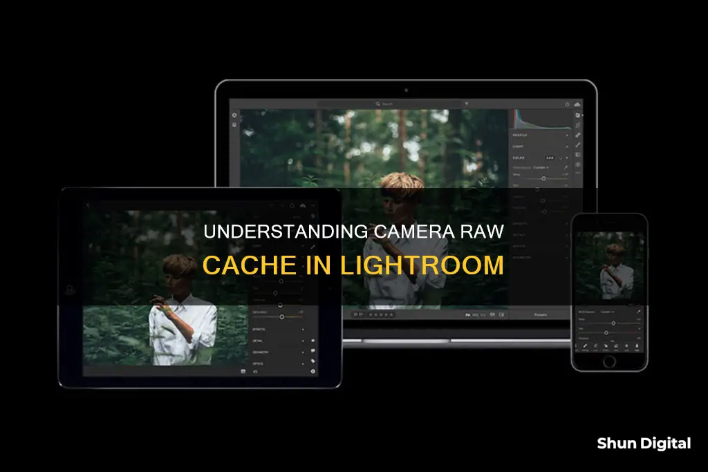 what is camera raw cache in lightroom