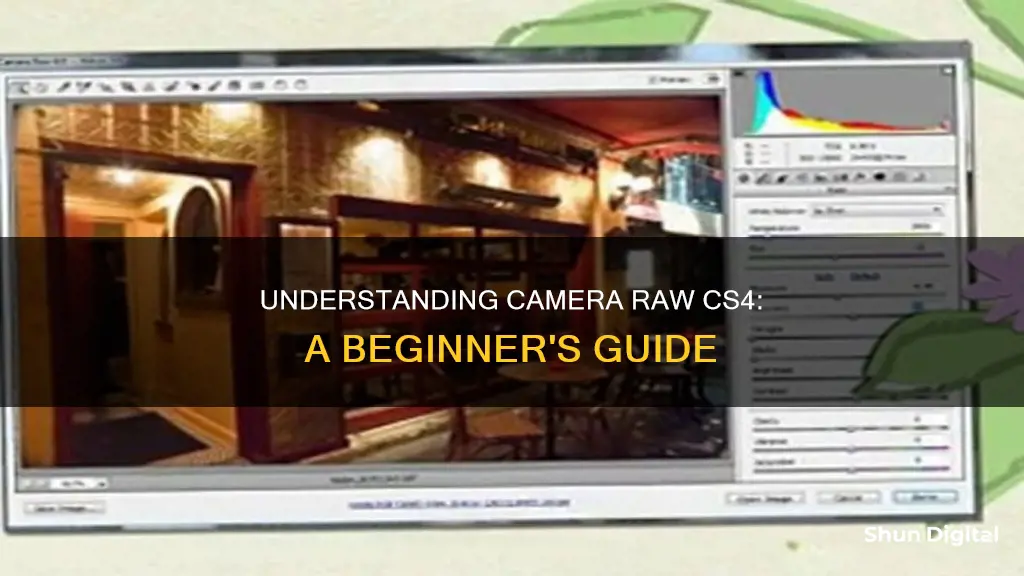 what is camera raw cs4