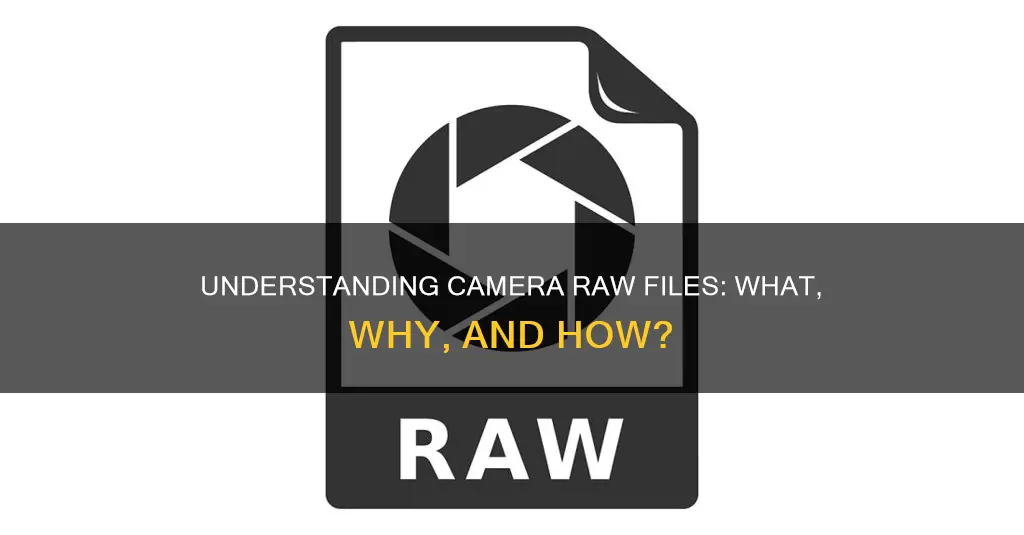 what is camera raw file